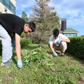 Ақтөбе облысы «Таза Қазақстан» жалпыұлттық акциясына белсенді қатысуда