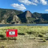 Елде қарақұрт санының күрт өсуі экологиялық өзгерістердің белгісі ме?