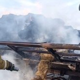 Ақмола облысында 10 тонна шөп өртеніп кетті