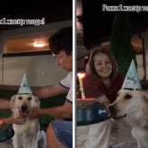 «20 жыл өмір тілеймін»: Өктем Алтаев итінің туған күнін тойлады (ВИДЕО)