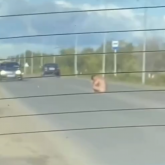 Желіде жол үстінде жалаңаш отырған ер адамның видеосы тарады