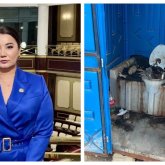 Айгүл Орынбек: Түркістанның әкімі Тұрашбеков туалетіңді тазала!