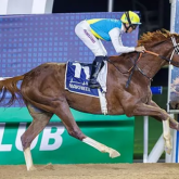 Танымал тұлпар Қабирхан бүгін Көшпенділер ойындарындағы бәйгеге қатыса ма