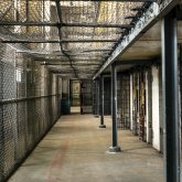 Түркістан облысында түрмеде жазасын өтеп жатқандар бүлік шығарды