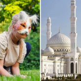 Квадробер болу күнә ма: Діни басқарма жауап берді