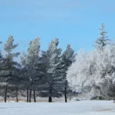 Еліміздің 14 өңірінде ауа райына байланысты ескерту жасалды