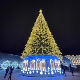 «Биіктен құлап кеткен»: Семейде шыршаны безендіру кезінде мұғалім зардап шекті