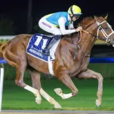 Тағы бір қазақ сәйгүлігі Дубайдағы бәйгеге қатысады