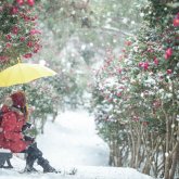 «Қар жауып, жауын-шашын түседі». Еліміз бойынша бүгінге арналған ауа райы болжамы