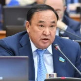 «Алдап, қарызға батырып жатыр». Депутат зейнеткерлердің несиесін кешіруді ұсынды