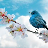 Жаңбыр, қар, үсік, көктайғақ: 10 сәуірде қай өңірлерде ескерту жасалды