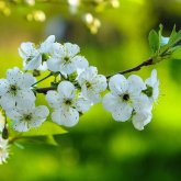 Мамыр айында қазақстандықтар қанша күн демалады