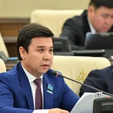 Түркістан өңірін шыбын-шіркей жайлады: депутат бақылауға алатынын айтты