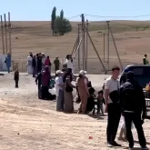 «Жаяу қалдырып кетті»: Жамбыл облысында халықаралық қызғалдақ фестивалінің соңы жанжалмен аяқталды