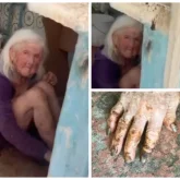 Шымкентте 92 жастағы тыл ардагері тарақан мен қоқыс басқан пәтерден табылды (ВИДЕО)