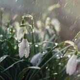 Жұма күні Қазақстанның бірнеше өңірінде үсік жүреді