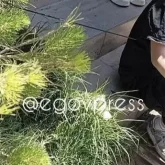 Шымкентте көшеде өтіп бара жатқан балаға садақтың оғы қадалды (ВИДЕО)