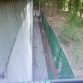 Ашуландырып, ызаландырған: 10 жастағы баланы талаған иттердің иесі видео жариялады (ВИДЕО)