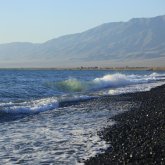 Солтүстік Қазақстанда көл жағасынан ер адамның мәйіті табылды