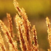 13 өңірде аптап ыстық: Бүгін ауа температурасы жоғары болады