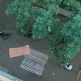 Алматыда жас қыз 7-қабаттан құлап, көз жұмды