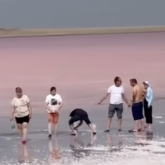 Туристер Көбейтұз көлінен тағы да тұз ұрлап жатыр (ВИДЕО)