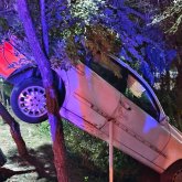 Алматыда жантүршігерлік жол апаты: Көлік ағаштың басына ілініп қалды