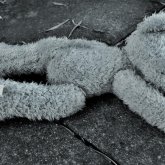 Түркістанда 6 жасар бала 9-қабаттан құлап кетті