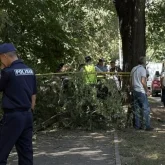 «Кофе алуға шыққан»: Алматыда үстіне ағаш құлаған бойжеткен мерт болды