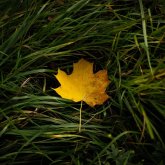 Бүгін бірнеше өңірде ауа райы бұзылады