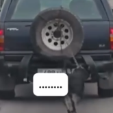 Алтайда ер адам итті көлікке байлап сүйреді