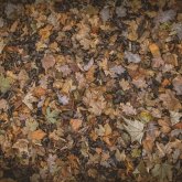 Бүгін елімізде дауылды ескерту жарияланды