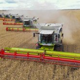 Егіннен экспортқа дейін: Биыл елімізде қанша көлемде астық бастырылуы мүмкін