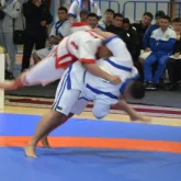 Жарыста мойын омыртқасын сындырып алған 15 жастағы балуан көз жұмды