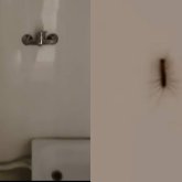 14 жылдан бері жөндеу көрмеген: Ақтөбеде балалар тарақан арасында емделіп жатыр