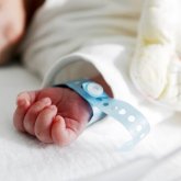 Құны – 500 мың теңге: сәбилер онлайн сайттарда саудаға шығарылған