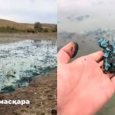 Жезқазғандағы көкке боялған көлге байланысты халық ашулы (ВИДЕО)
