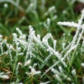 Елдің оңтүстігінде күн суытады