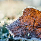 -3 градусқа дейін үсік жүреді, қар жауады: 3 қазанға арналған ауа райы болжамы