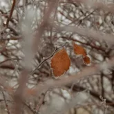 Жауын, қар және үсік: синоптиктер бірнеше өңірге ескерту жариялады