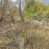 Степногорск қоқысқа көмілген қала: Сұмдыққа әкімдік көз жұма қарап отыр