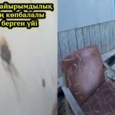 «Қайырымдылық па, әдейі мазақ па?» — «Asar Ume» қоры көпбалалы анаға шіріген үй беріп, жұрттың ашуын туғызды