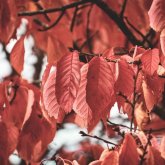 Сенбі күні Қазақстанда дауылды ескерту жарияланды