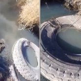 Қарағандыда кәріз суы өзенге құйылып жатыр: тұрғындар бірнеше жыл бойы иіске тұншығып отыр (ВИДЕО)