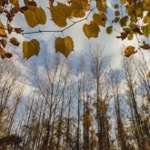 «Батыста қатты жаңбыр, шығыста тұман»: Бүгін ел аумағында күн райы қалай құбылады