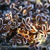 Бүгін еліміздің бір бөлігінде жаңбыр жауып, үсік жүреді