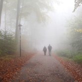 «Тұман, көктайғақ, қатты жел»: Еліміздің 14 өңірінде дауылды ескерті жарияланды