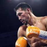 Шетелдік автор Жәнібек Әлімханұлына күмән келтірді