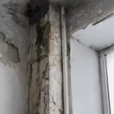 «Әкімдік неге көз жұмып отыр?»: Семейдегі мәдениет үйі қоқыс қоймасын еске салады