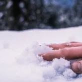 Ақмола облысында ер адам өз ауласынан өлі табылды